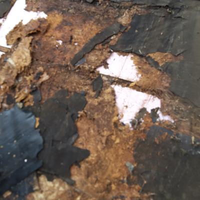 Widespread rot was caused by water infiltration in 34 defective tiles 